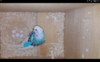 Screenshot_2016-08-14-12-31-55.png