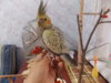 DSCN5792.JPG