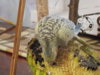 DSCN5985.JPG