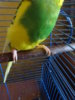 DSC06270.JPG