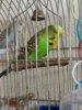 20160905_183144.jpg