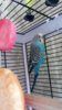 20160910_103045.jpg