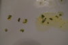 DSC04149.JPG
