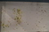 DSC04163.JPG