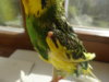 DSC06434.JPG