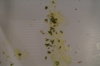 DSC04228.JPG