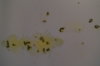DSC04236.JPG