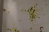 DSC04237.JPG
