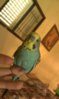 IMAG0030.jpg