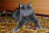 DSC05544а.jpg