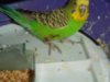 SAM_38181.JPG