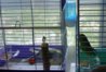 DSC05623.JPG