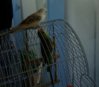 DSC05627.JPG