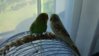 DSC05632.JPG