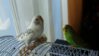 DSC05635.JPG
