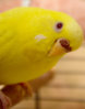 IMGP7082 .jpg
