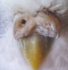 20130826_100840.jpg
