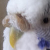 201308262.jpg