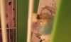20130905_230906.jpg