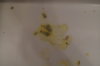 DSC04282.JPG