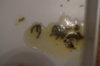 DSC04292.JPG