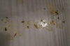 DSC04313.JPG