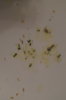 DSC04324.JPG