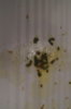DSC04331.JPG