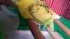 20161015_165526.jpg