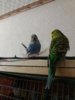 20161015_215222.jpg