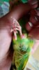 20161016_113151.jpg