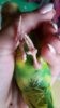 20161016_113134.jpg