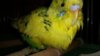 20161017_233610.jpg