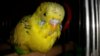 20161017_233424.jpg