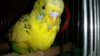 20161017_233415.jpg