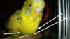 20161017_233415.jpg