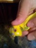 PlORytWjm-c.jpg