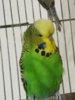 20161026_214544.jpg