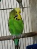 20161026_214532.jpg