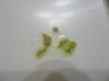 DSC03219.JPG