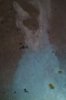 IMG_20161104_123844_981.JPG