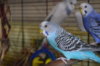 DSC_0888.JPG