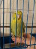 20161112_171255.jpg