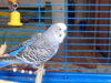 DSC02693.JPG