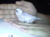 20161208_191742.jpg