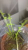 20161217_131302.jpg