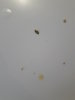 20161231_135026.jpg
