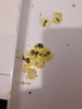 20170101_102959.jpg