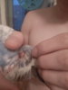 IMG_20170107_165844.jpg