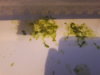 20170111_102218.jpg